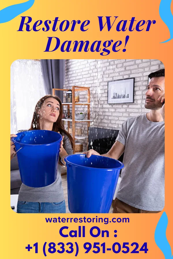 water restoration Ultimate Drying Partners Palmyra