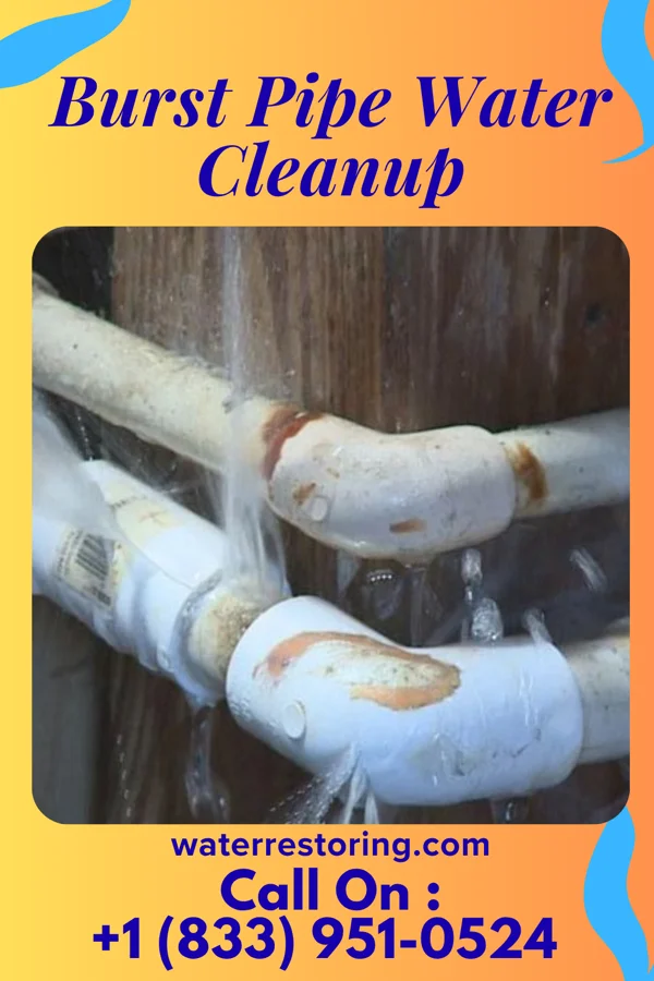 Burst Pipe Water Cleanup in Palmyra, WI