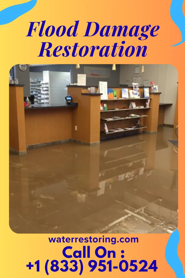 Flood Damage Restoration in Palmyra, WI