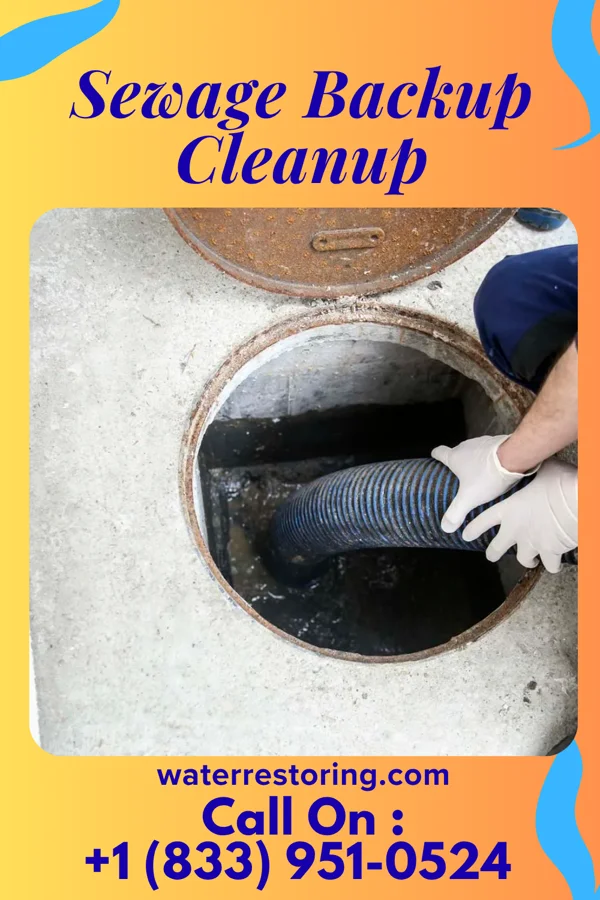 Sewage Backup Cleanup in Palmyra, WI