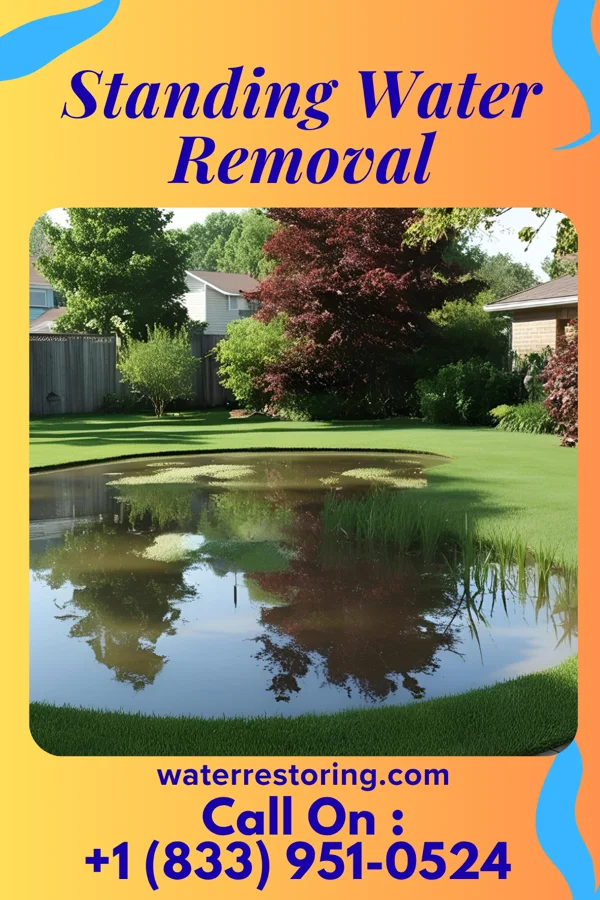 Standing Water Removal in Palmyra, WI